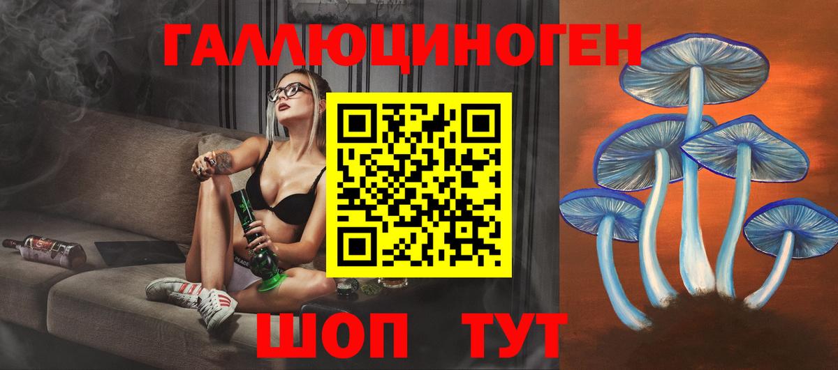 Псилоцибиновые грибы прущие грибы Обь